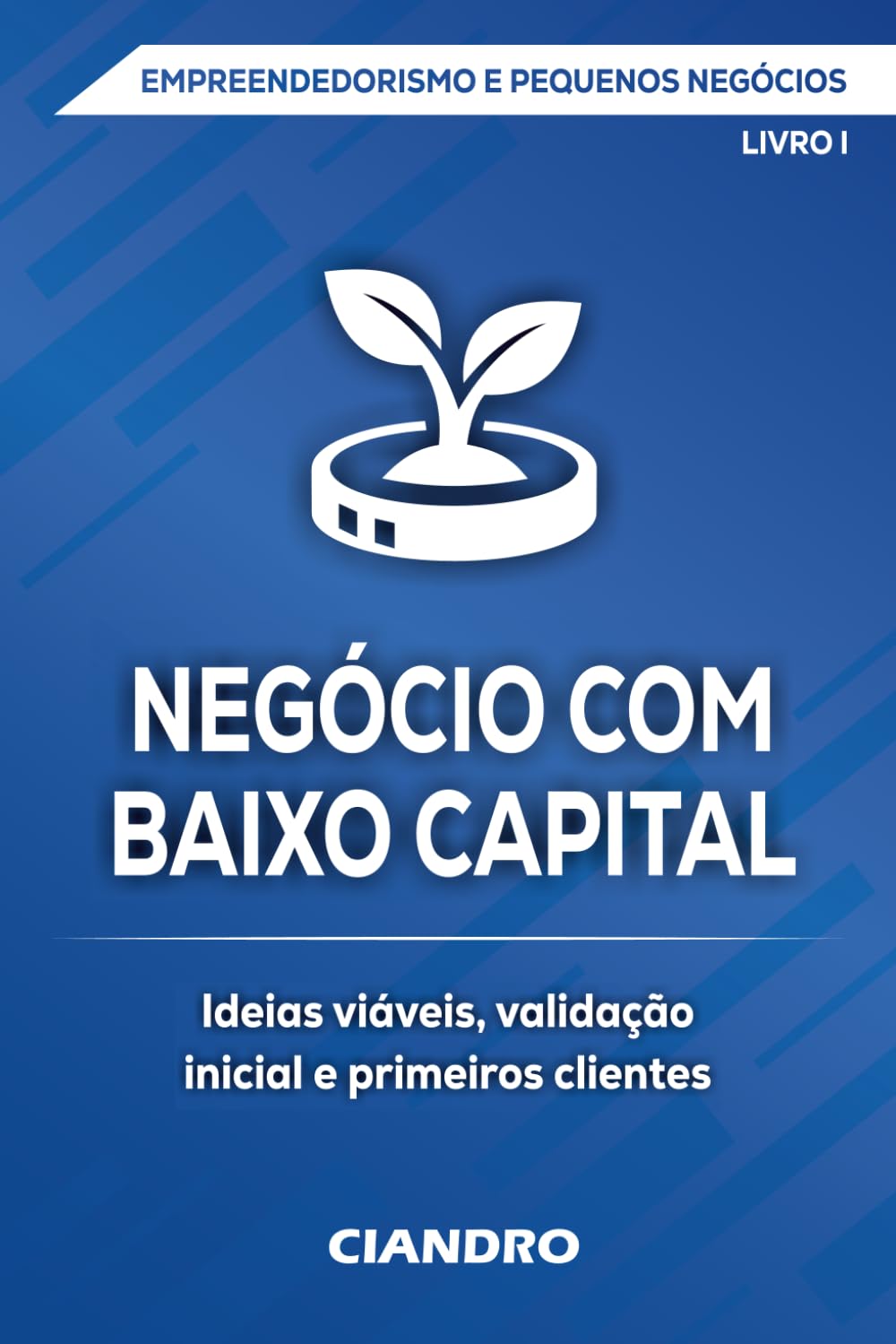 NEGÓCIO COM BAIXO CAPITAL: Ideias viáveis, validação inicial e primeiros clientes (EMPREENDEDORISMO E PEQUENOS NEGÓCIOS)