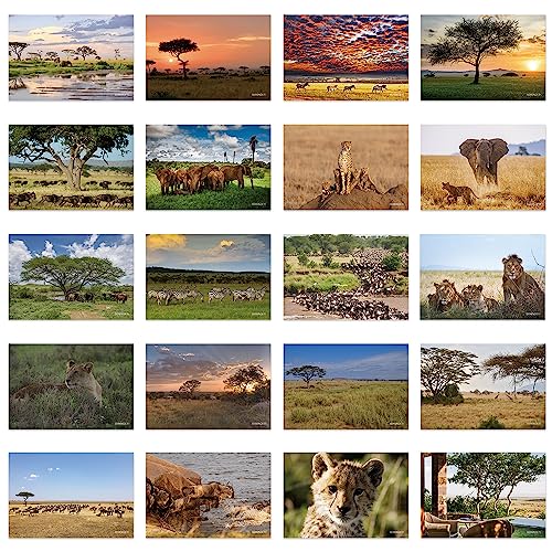 xtvinvm Serengeti Tanzania Africa Travel Postcards - Vintage Pack...