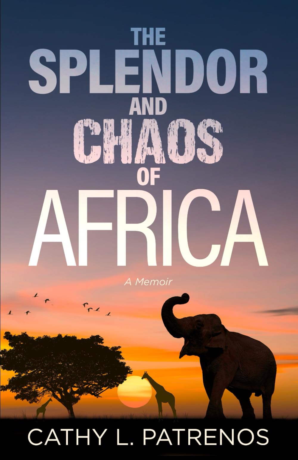 The Splendor and Chaos of Africa: A Memoir
