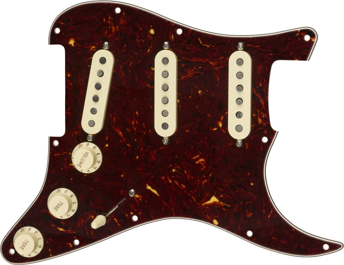 Amazon.com: Fender Texas Special Prewired Stratocaster Pickguard