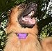 Large Dog Bark Collar - Waterproof Bark Collar - Large Shock Collar - Waterproof Shock Collar Collar