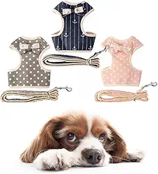 Fluffie Coleira Peitoral para Cachorros e Guia Estampada Yorkshire Shih-Tzu (G, Rosa)