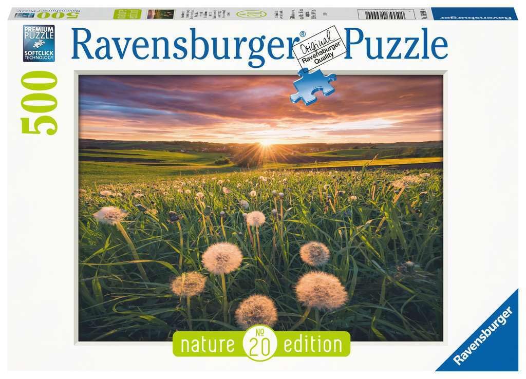Rêves - 🧩 Puzzle Adulte | Nathan