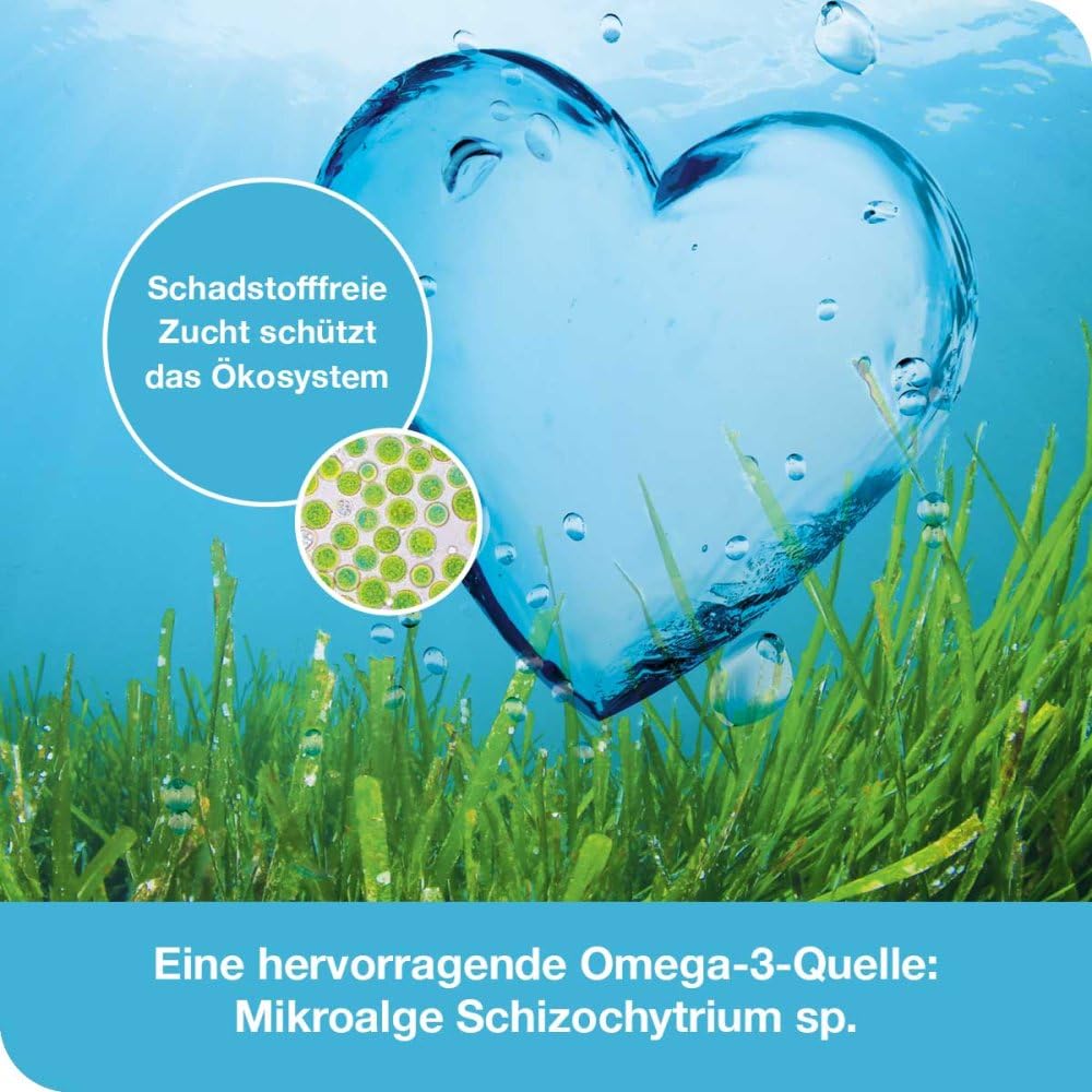 omega3-Loges pflanzlich - 120 Kapseln - Omega-3 aus Mikroalgen-Öl