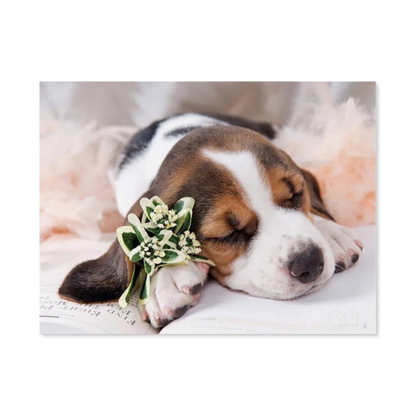 BEAYODKP Paint by Numbers for Adults,Beagle Dog,DIY Oil Painting Paint by Number Kits Linen Canvas Wall Art House Decor(20x30cm) 7.8x11.8 inches-F34 — image 1