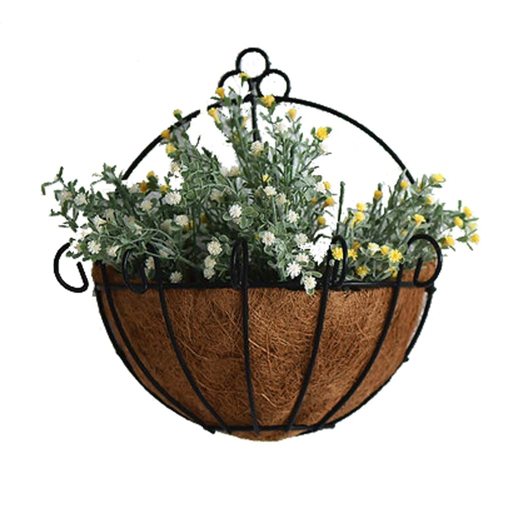 Pots de fleurs suspendus avec crochet pour décoration murale amovible
