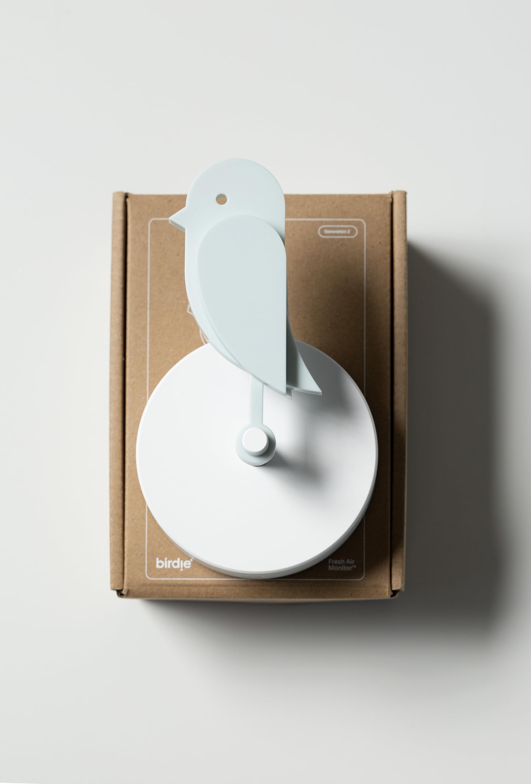 Birdie - Monitor dell'aria fresca con sensore CO2 (Ghiacciaio)