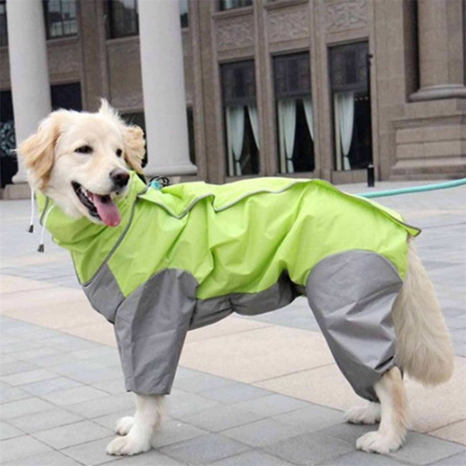 HMJGDHX Chubasquero Impermeable para Perros con Orificio para Correa, Ropa Ligera para la Lluvia para Mascotas, Poncho Resistente al Viento para Perros pequeños, medianos y Grandes