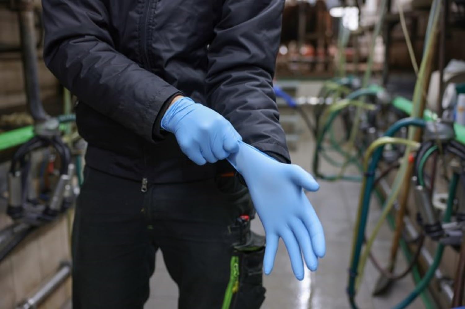 Kerbl Nitrilo Top Pro, XXL azul guantes des. 90 uds s. polvo