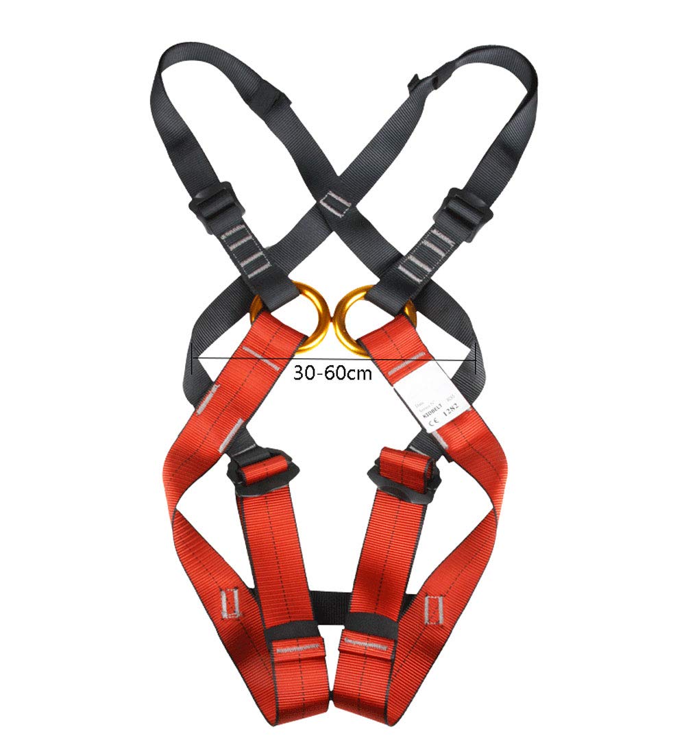 Harnais d'escalade Enfant, Baudrier Escalade Enfant Harnais de Sécurité pour Alpinisme, Escalade, Rappel, Convient aux débutants, 3-14 ans, Sûr et confortable