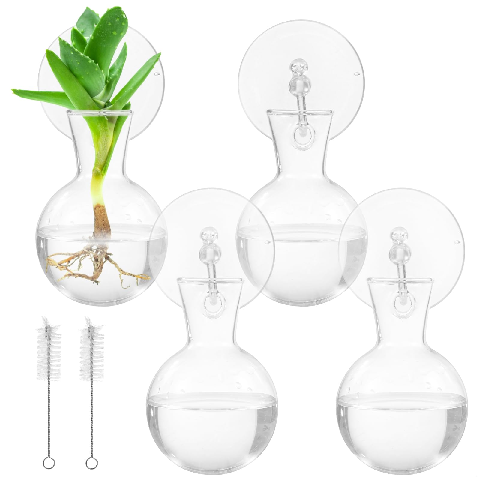 Lot de 4 vases de propagation en verre pour la maison, fenêtre avec 4 ventouses, 2 brosses, vase terrarium pour culture d'eau, cadeau unique pour pendaison de crémaillère