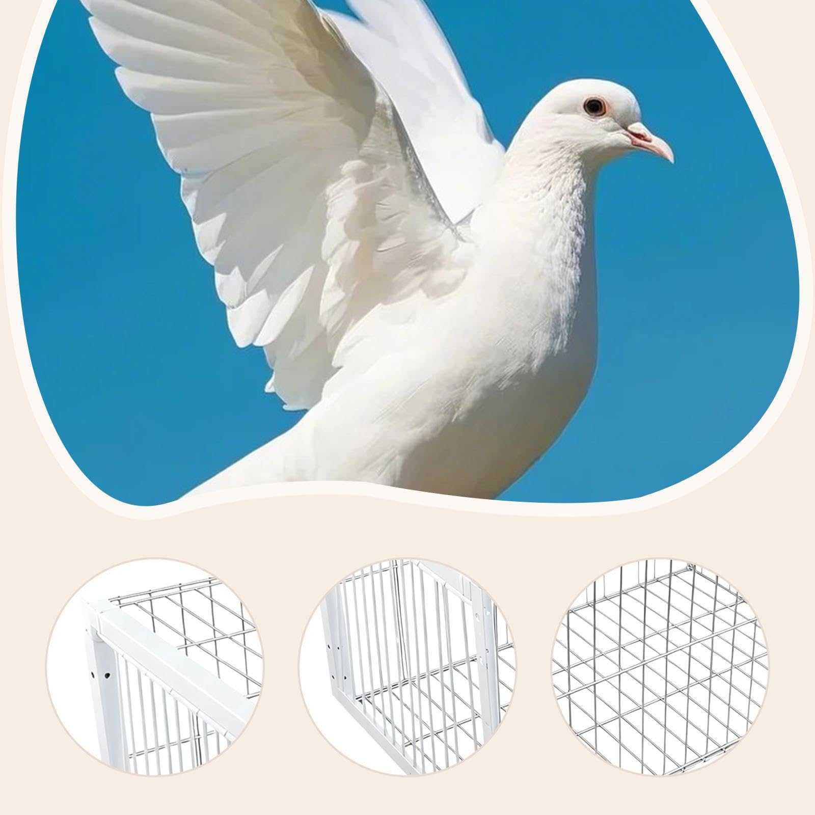 Fenteer Jaula para Pájaros Y Palomas, Jaula para Pollos, Colección Automática de Palomas de Metal, Jaula para Animales para Granjas de Balcones Andowns, Entrada de 1 vía