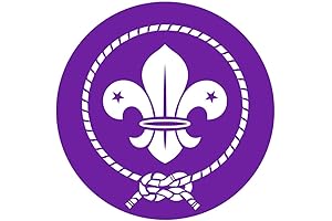 Set of 5 Scouts Badge Iron on Screen Print Fabric Applique Transfer Boy Scout Fabric