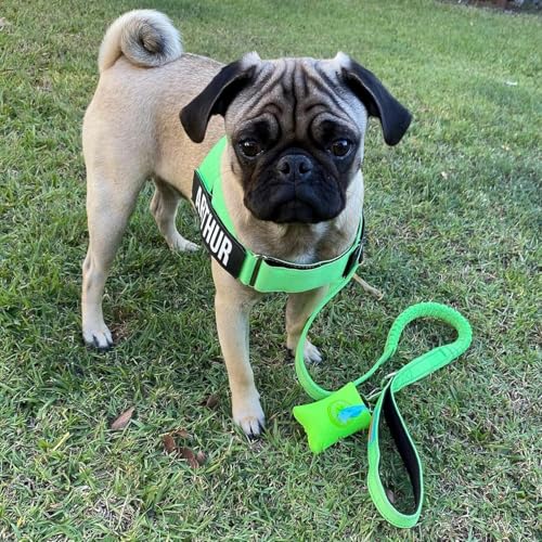 Image of Dog Friendly Co. Poop Bag Holder for Leash, Dog Waste Bag, Premium Burgundy | One Click Clip Potty Carrier Dispenser, Pet Trash Bags, Neoprene Fabric for All Weather Conditions, Stylish Walking Accessory