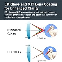 Vista 3 de Celestron – Regal M2 100ED Telescopio de Observación – Vidrio ED para Observación de Aves y Actividades al Aire Libre – Prisma BaK-4