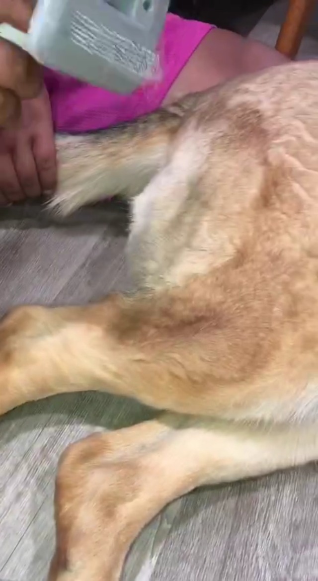 the latest from Tanya Close on Amazon Live