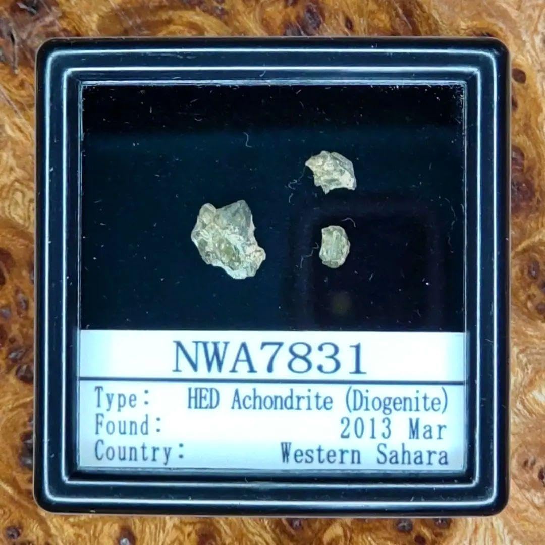 小惑星ベスタ起源 NWA7831隕石標本 【公式通販】