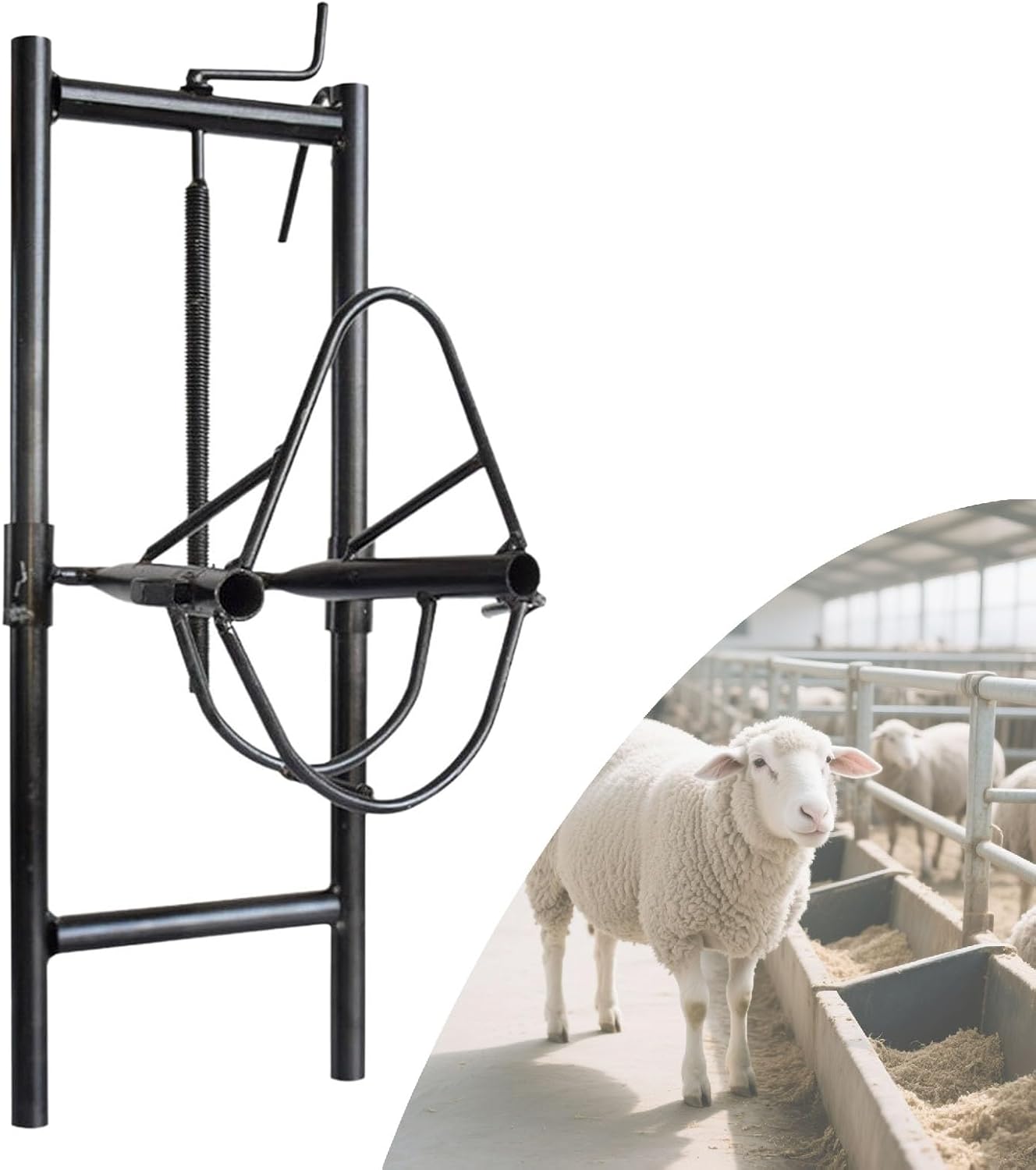 Sheep Head Holder, Versatile Sheep Shearing Stand Liftable Sheep Head Holder Metal Livestock Stand Goat Halter Sheep Catching Bracket Livestock Supplies for Market Home Use Shearing