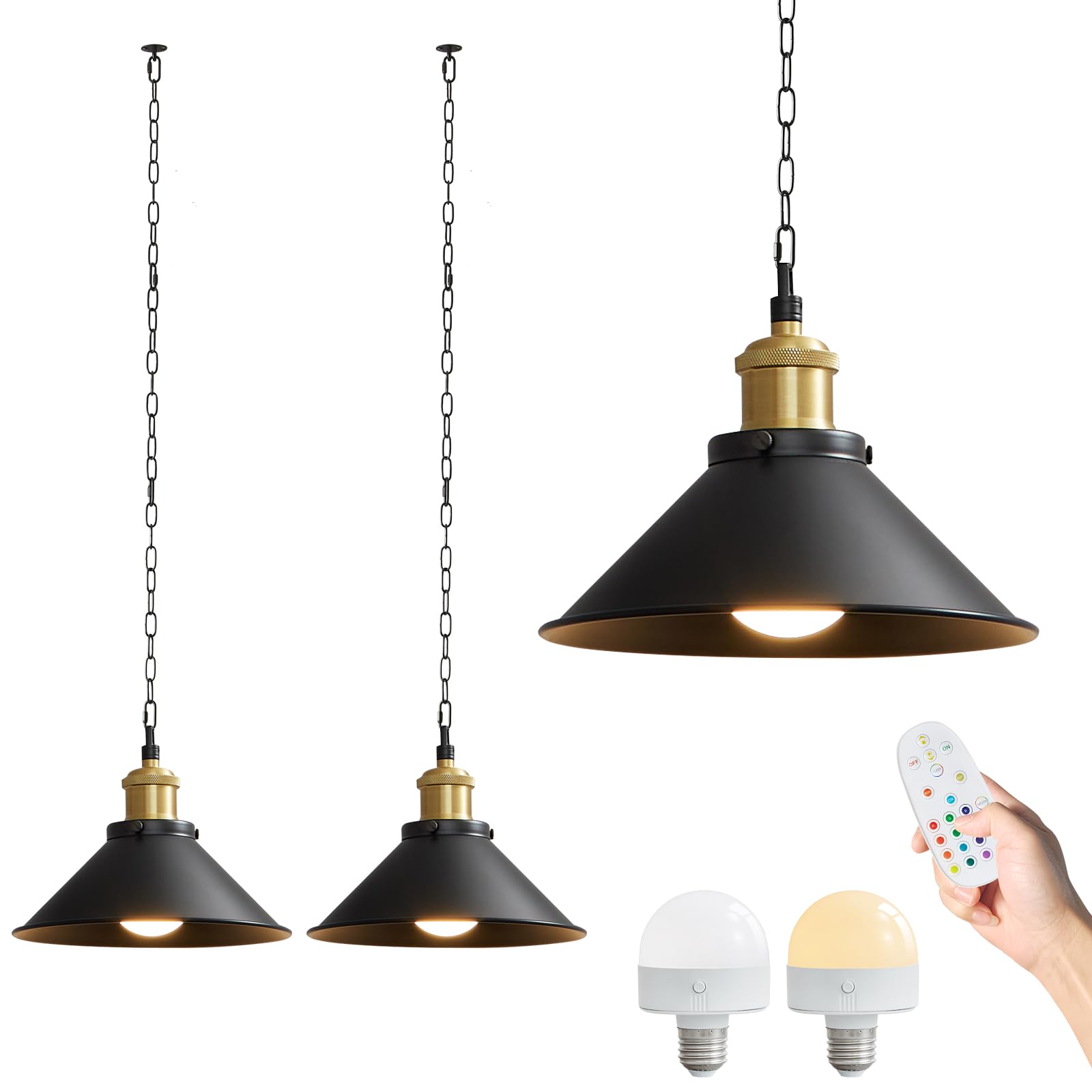 2 Pack Black Hanging Light