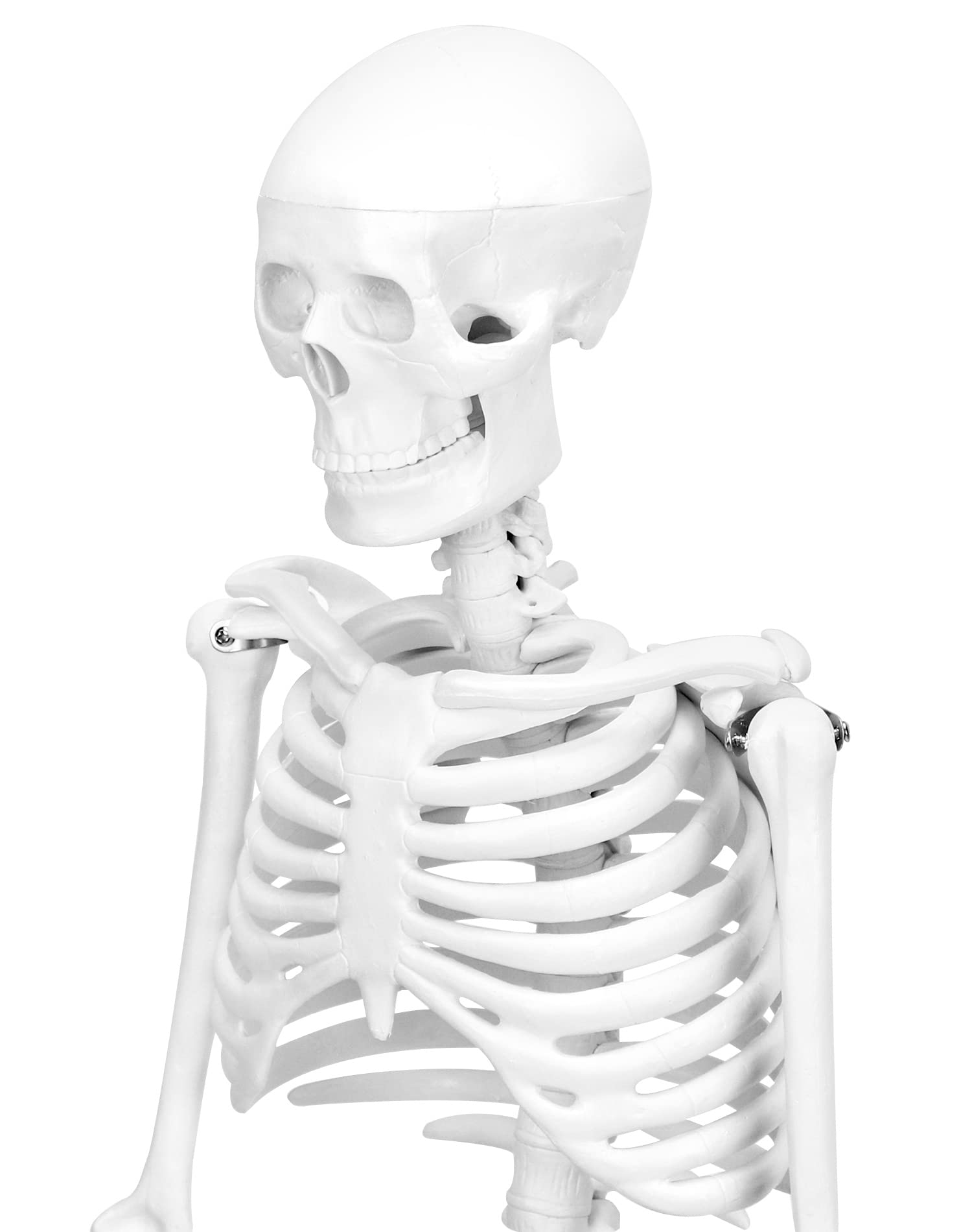 QWORK® Modello Anatomico Scheletro Umano, 85 cm, Flessibile, Per Strumento di Visualizzazione dell'Insegnamento