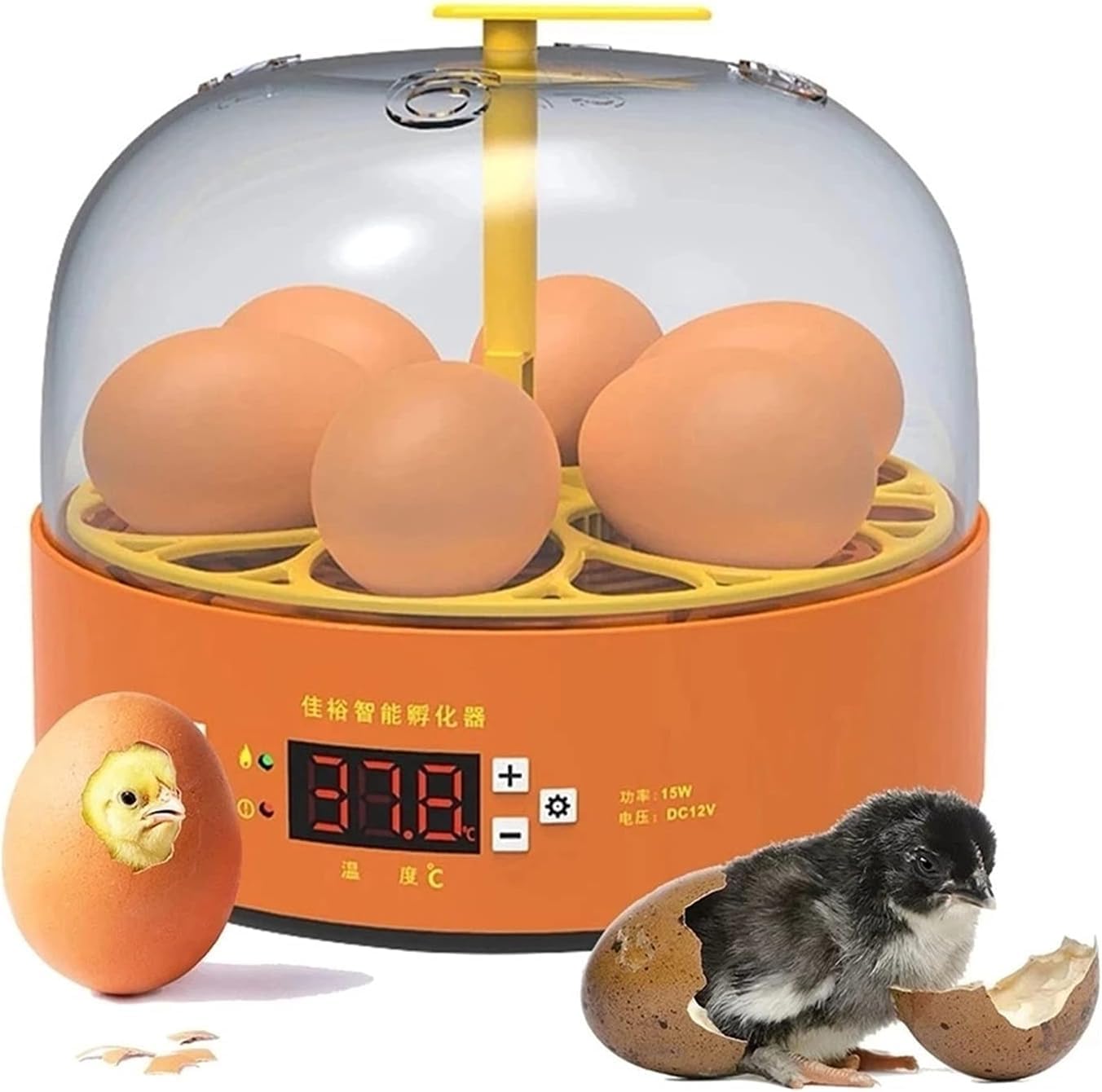 Incubadora Incubadora digital de huevos con 6 compartimentos, control de temperatura y humedad, incubadora transparente for aves de corral, incubadora de huevos for incubar pollos, codornices y patos(