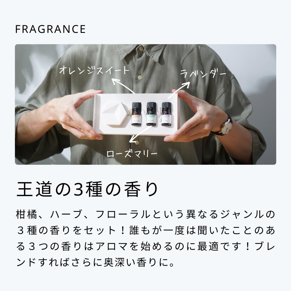 Amazon.co.jp: 生活の木 生活の木のはじめてみた。アロマストーン
