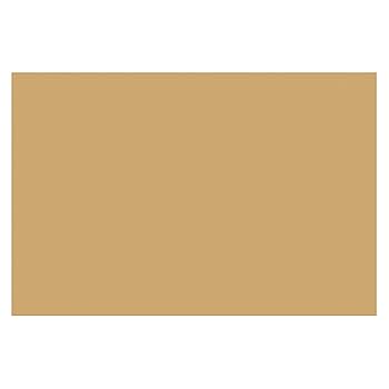 Amazon.com: Tru-Ray Construction Paper, Almond, 12