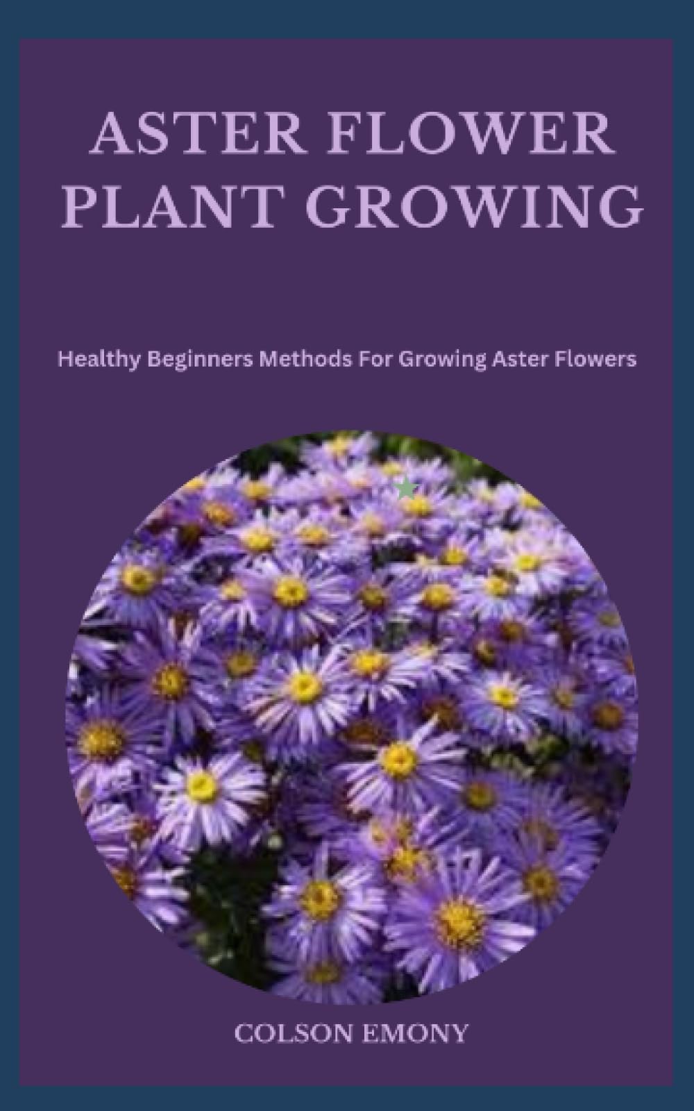ASTER FLOWER PLANT GROWING: Healthy Beginners Methods For Growing Aster Flowers