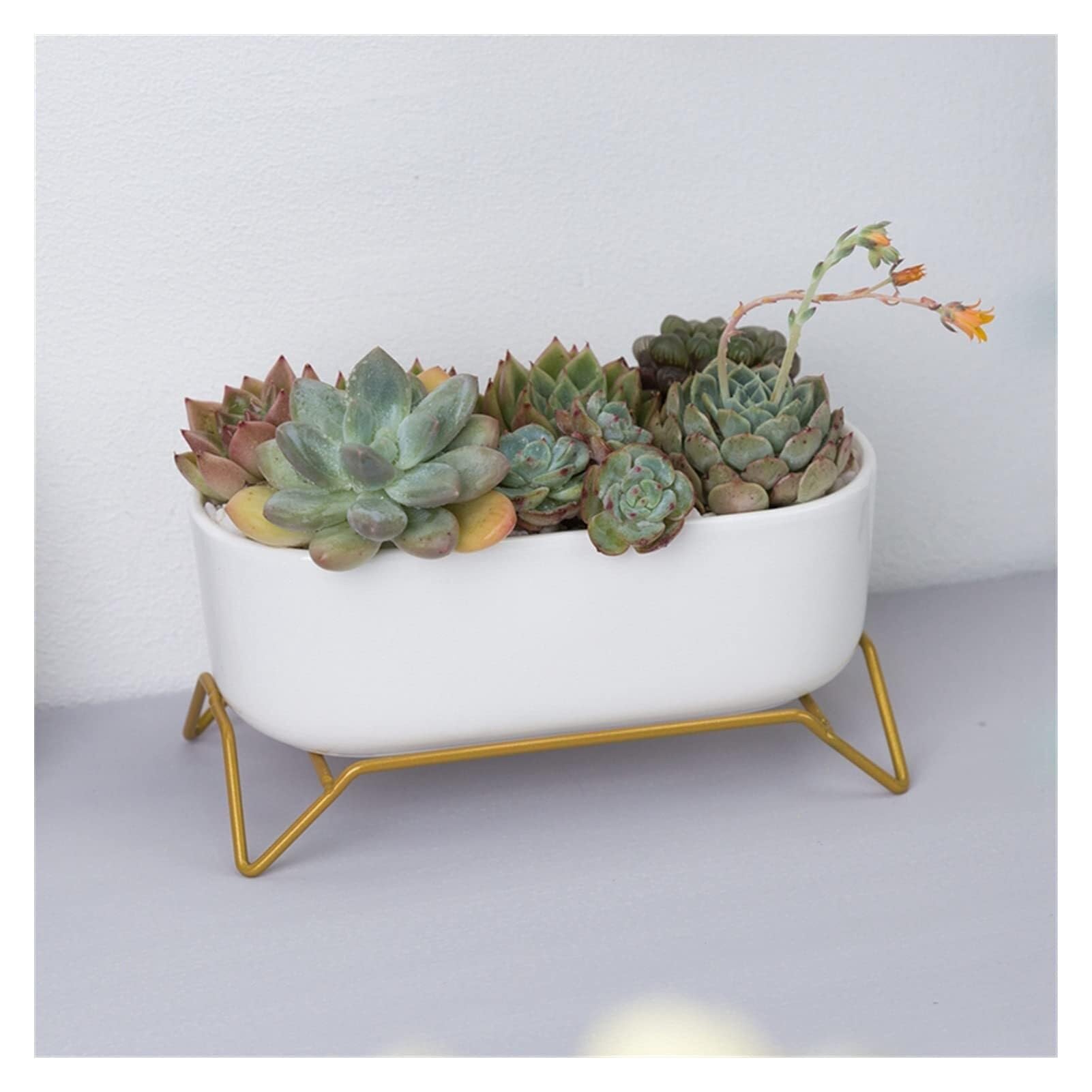Biała ceramiczna doniczka ze złotym metalowym stojakiem owalna doniczka na sukulenty kaktus z otworem drenażowym 17 x 8,5 x 5,5 cm na biurko wystrój domu i małe rośliny domowe