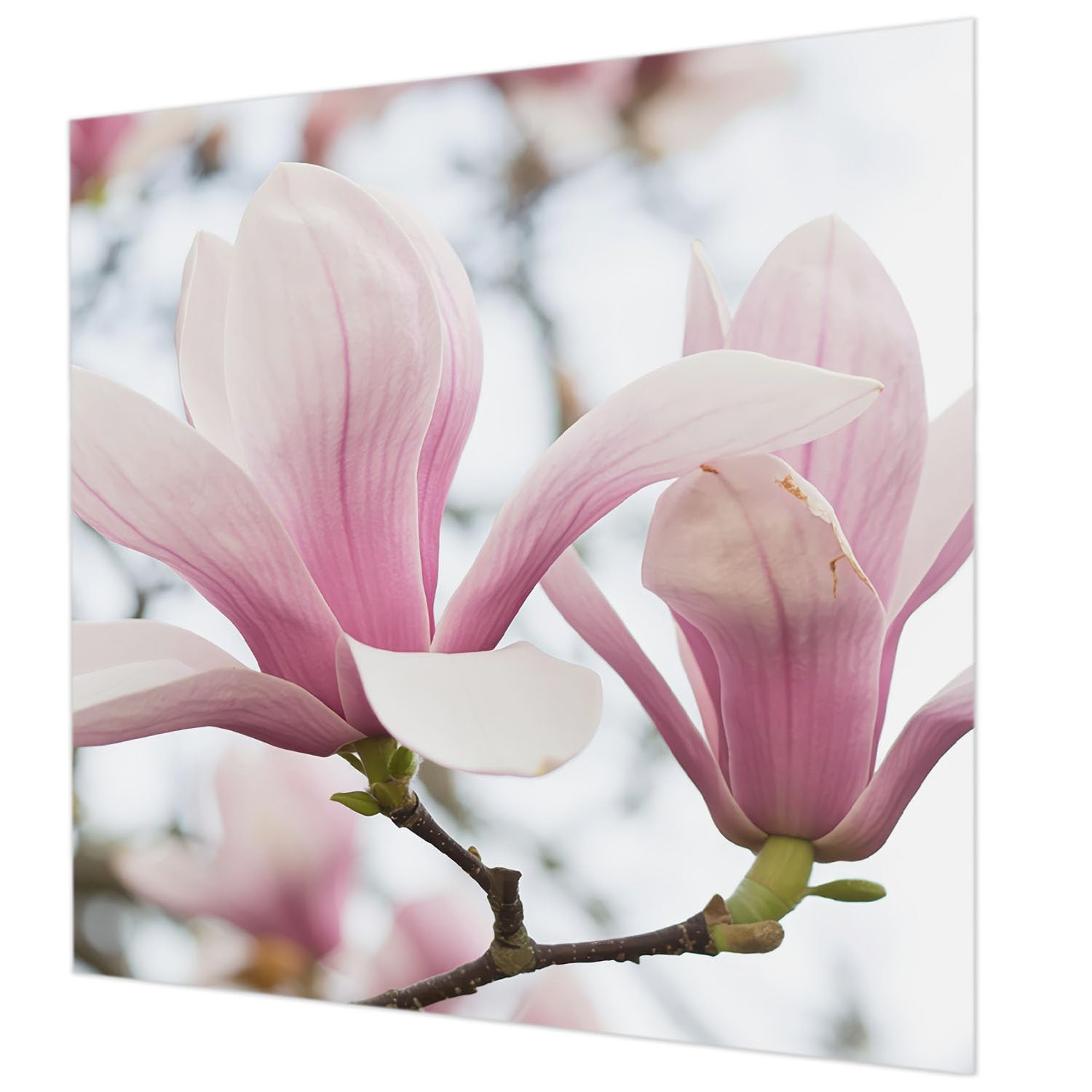 Décoration murale intissé pour chambre à coucher au motif magnolia