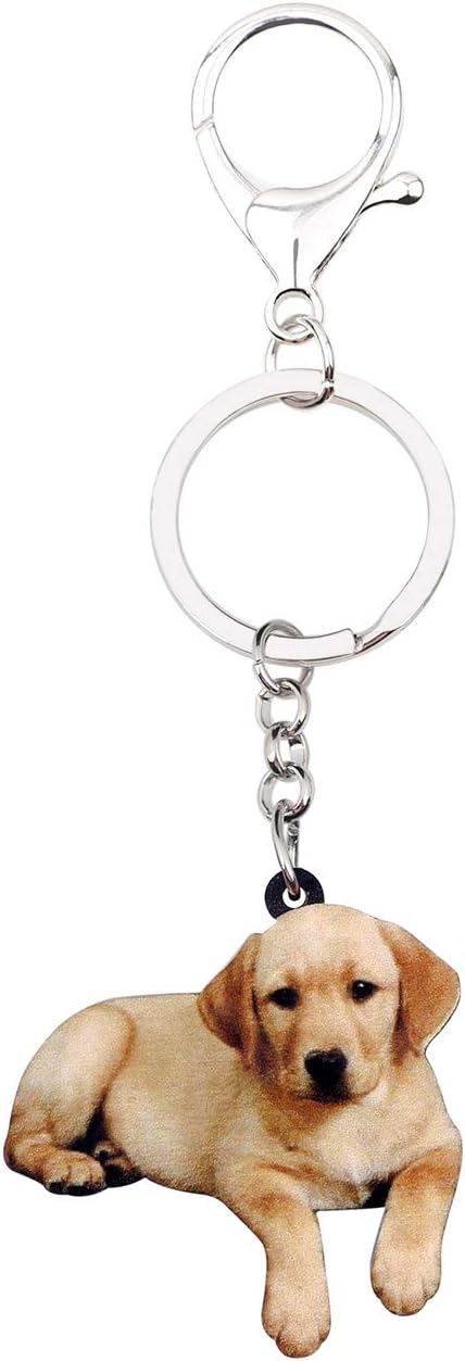 WEVENI Acrylic Labrador Retriever Dog Key Chain Lab Gifts for Pet Lovers,Animal Bag Charm Purse Accessories for Women Girls image 4