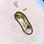 Review Image by AmandaM AmandaM