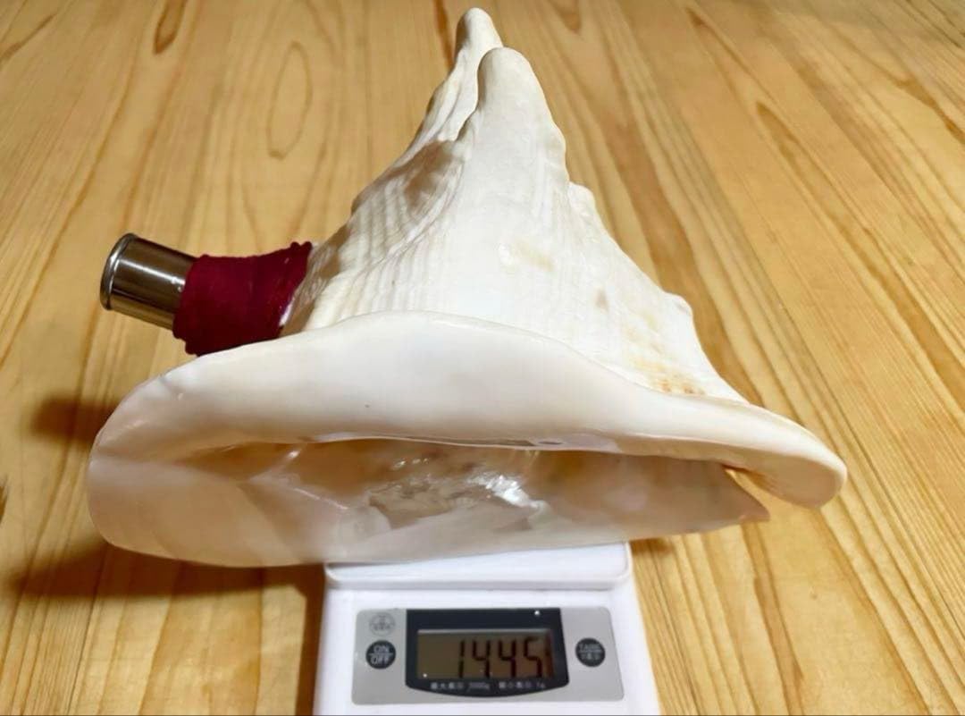 法螺貝　ホラガイ　ほら貝　トーカムリ貝笛 Amazon.co.jp: 法螺貝 ホラガイ ほら貝 トーカムリ貝笛 : おもちゃ