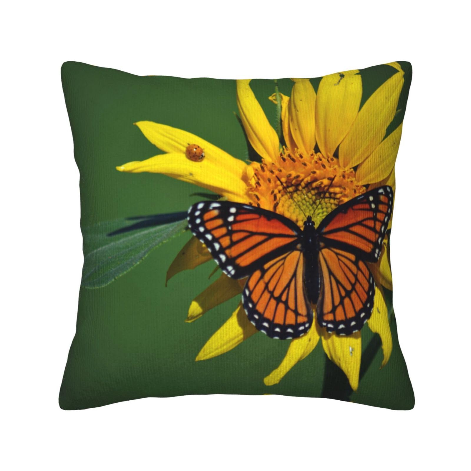 Housse de coussin velours côtelé papillon pour un canapé cosy