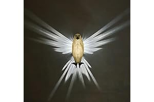3D Eagle Lamp LED Wall Light: Illumine Your Space with Majestic Presence