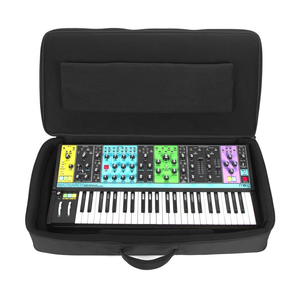 Analog Cases SUSTAIN Case For The Moog Matriarch/ASM HydraSynth