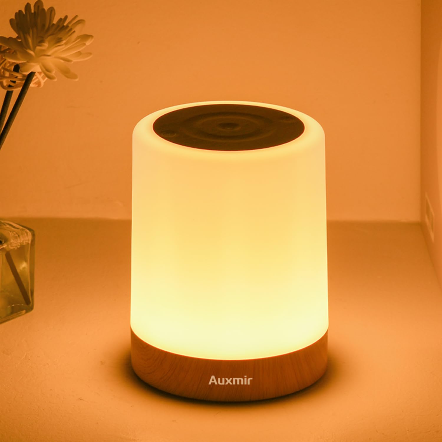 Auxmir Night Light for Kids Baby Dimmable Touch Lamp for Nursery 11 RGB Colors 5 Brightness Portable Rechargeable