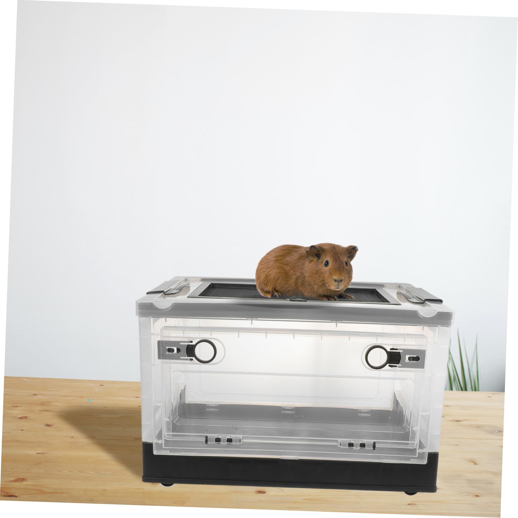 Hemobllo Caja Nido para Hámster Termoaislada, Jaula Plegable para Animales Pequeños, Terrario De Plástico Negro para Mascotas, Espacio Seguro para Hámster y Roedores