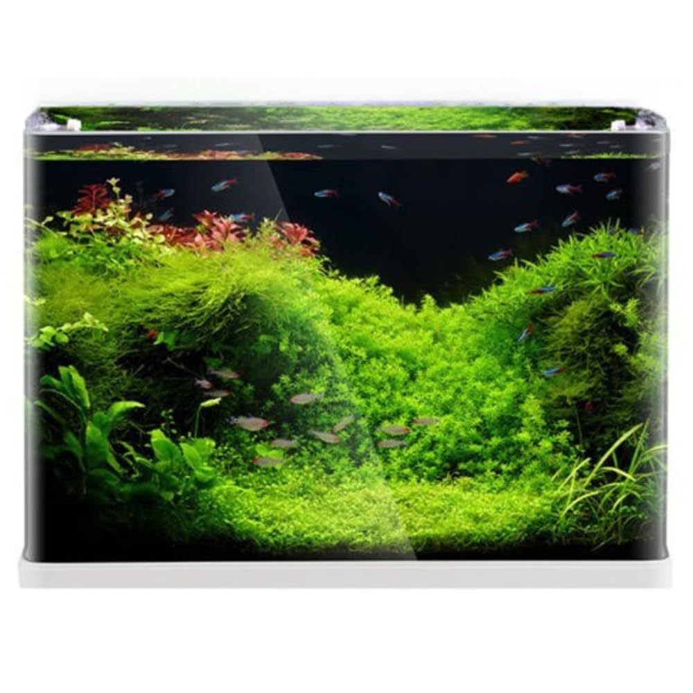 Aquariumline otwarte akwarium ze szkła, ekstra klarowne szkło panoramiczne, 55 l, 60 x 30 x 33,5 cm