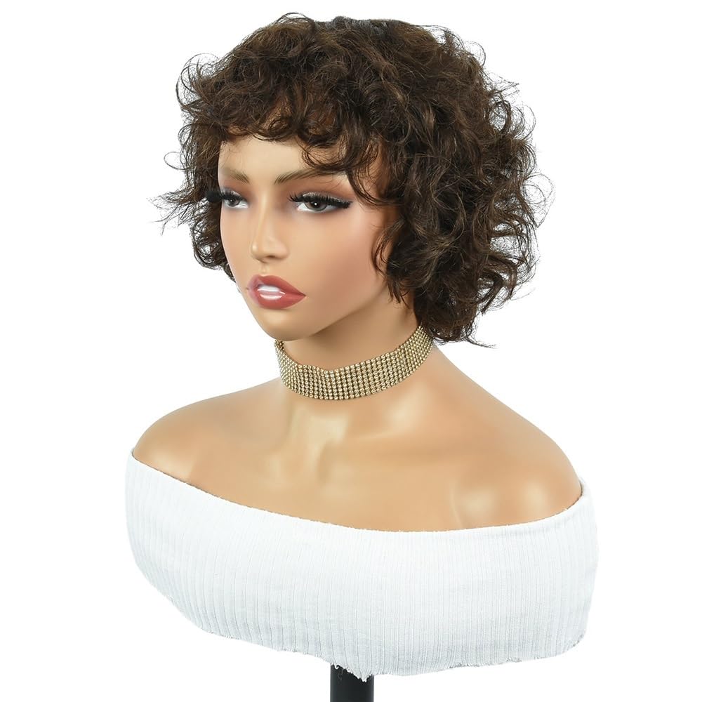 xiuling4568 Short Curly Human Hair Wig with Bangs, 6 Inch Glueless Wigs for Women 100 gram Hairs Extensions(Dark Brown)