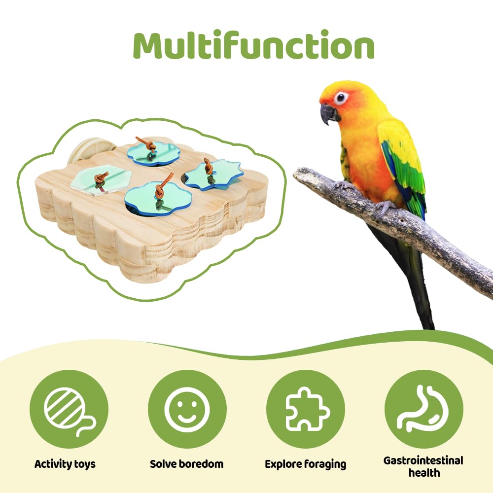 DONGKER Wooden Bird Foraging Puzzle Toys,Multiple Uses Parakeet Feeder Perches Stand with Custom Acrylic Lid for Macaw Sun Conure Small Sized Birds - image 6