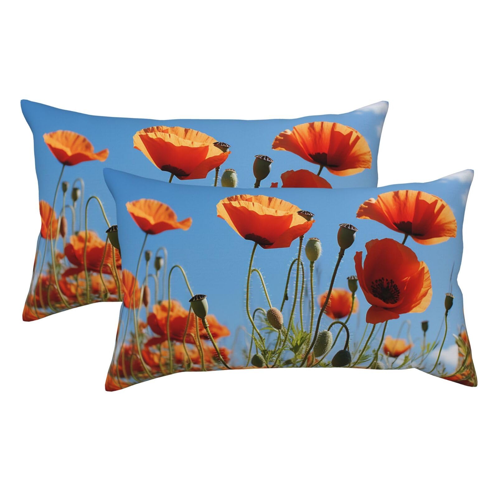 2 Pack King Pillow Cases with Hidden Zipper, Soft Breathable Pillow Covers for Hair and Skin, Poppies on Blue Sky Pillowcases 20"x36" Bed Pillow Protectors Cover for Sleeping Gifts