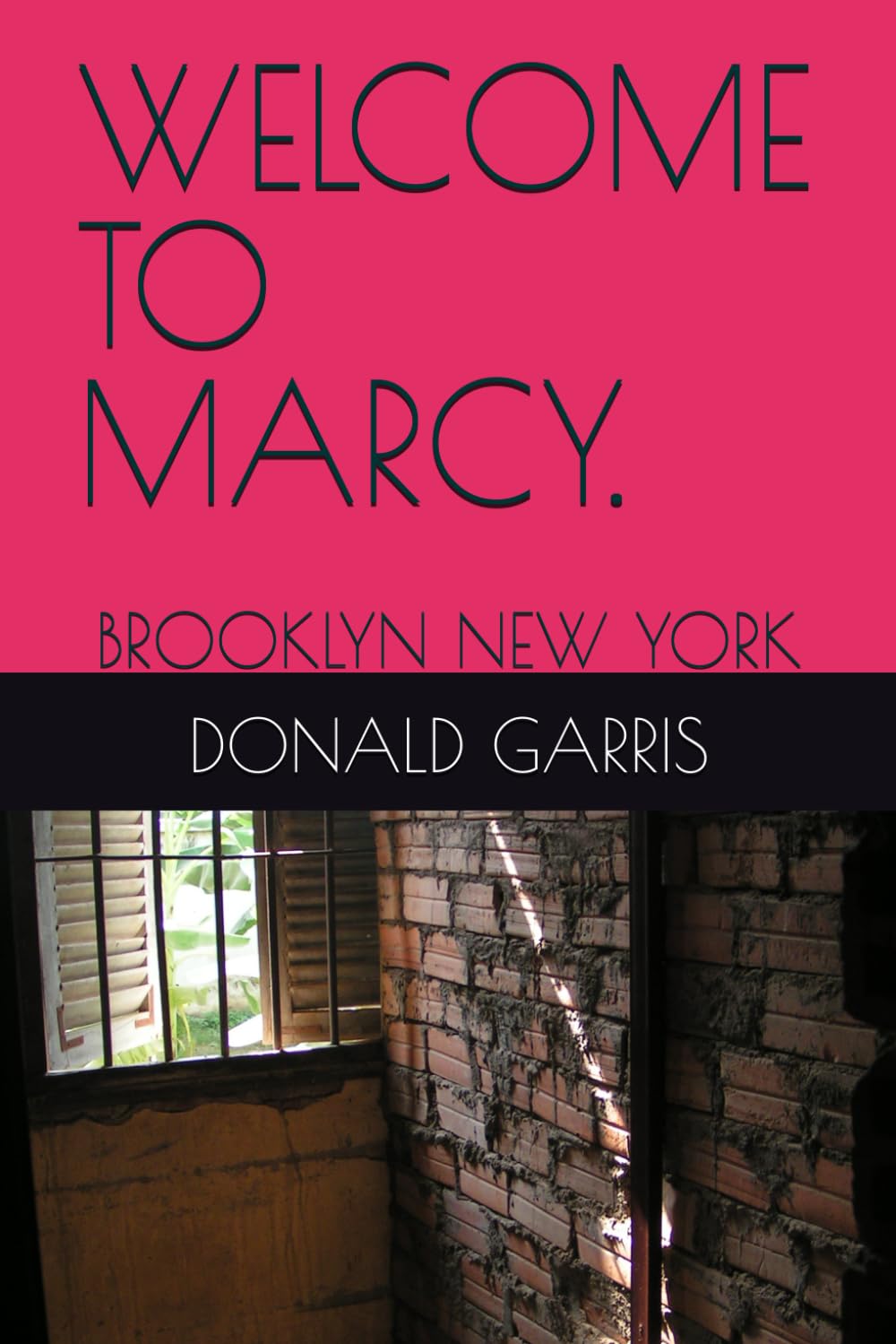 WELCOME TO MARCY: BROOKLYN NEW YORK