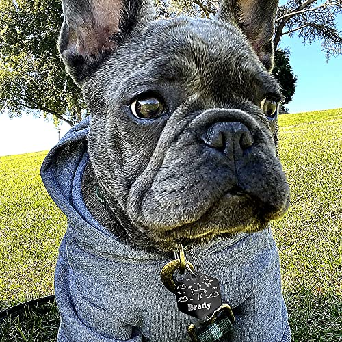 Personalized Dog Tag with 5 Lines of Custom Deep Engraved Durable Stainless Steel Pet ID Name Tag Designer Regular Size Hexagon - Image 7