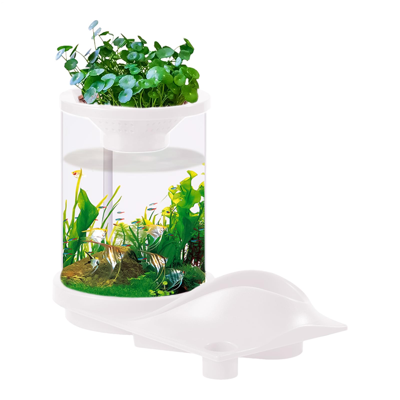 Aquarium hydroponique silencieux pour appartement sans contrainte de nettoyage