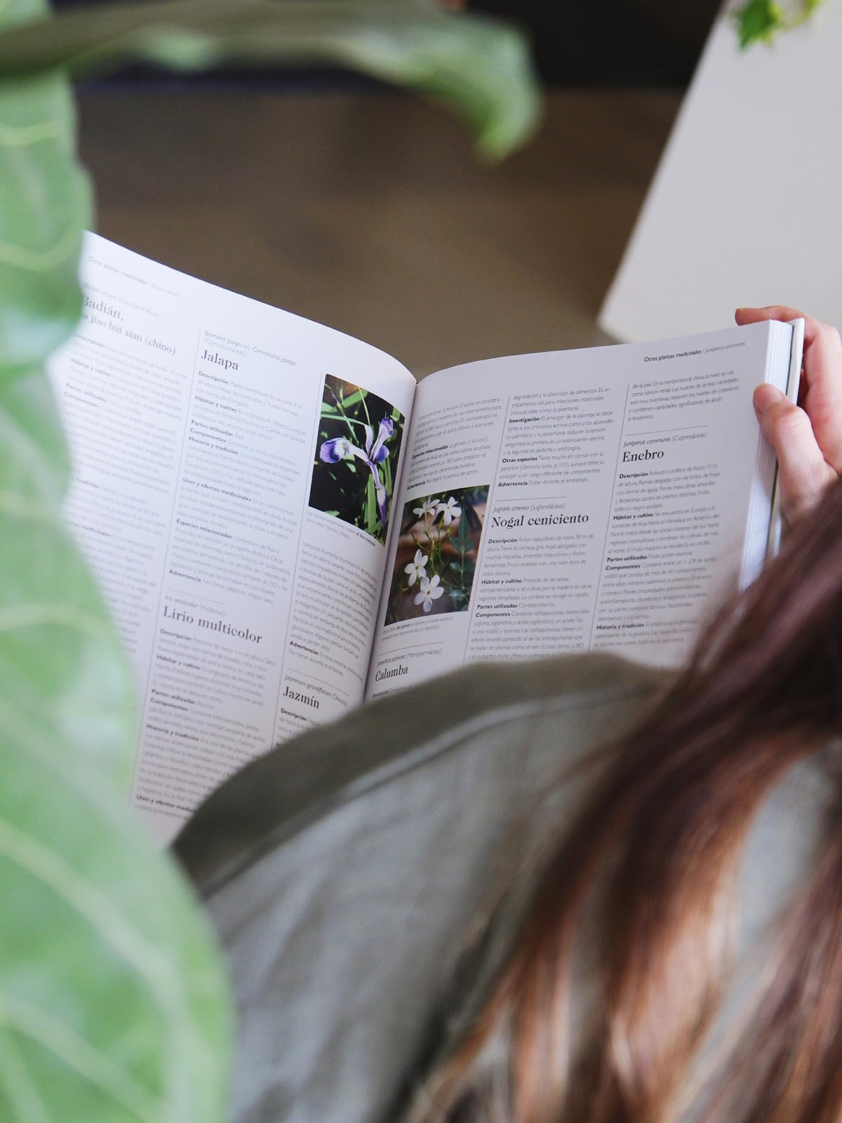 Enciclopedia de plantas medicinales: 560 hierbas y remedios para dolencias comunes
