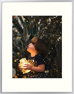 Golden State Art, Metal Wall Photo Frame Collection, Aluminum Silver Photo Frame with Real Glass (11x14)