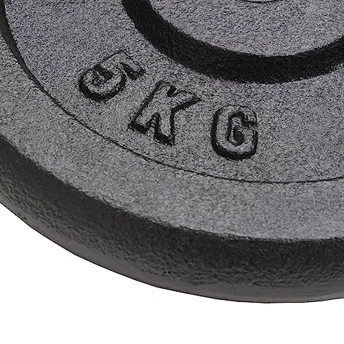 vidaXL Disque de Poids Haltère Fonte Salle de Sport Entraînement Multi-modèle – Image 3