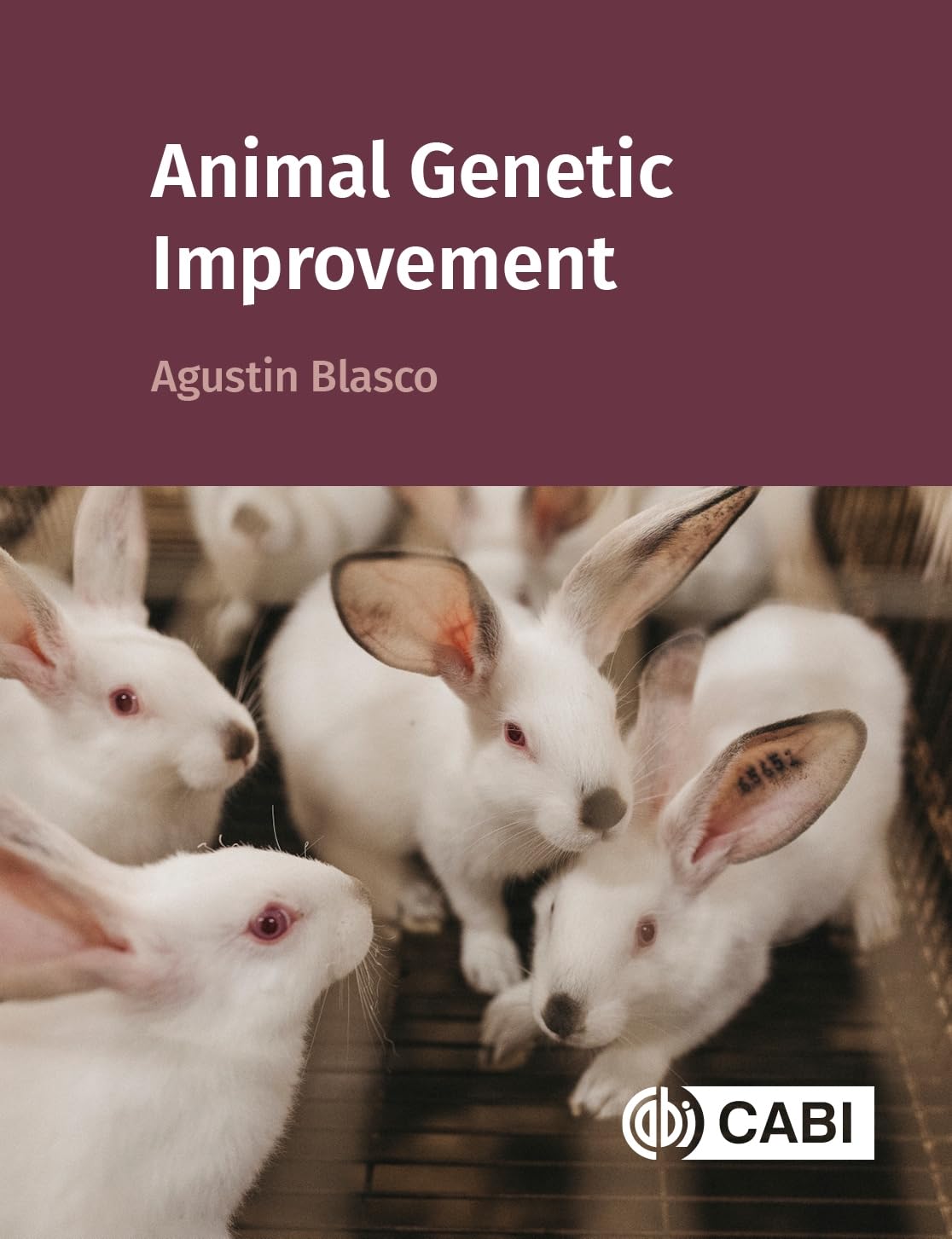 Animal Genetic Improvement by Agustin Blasco HARDBACK 9781836990970