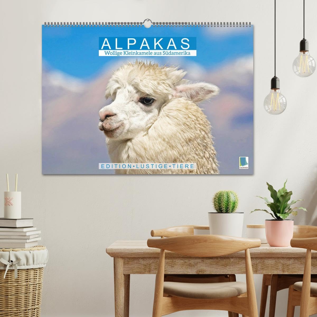 Alpakas: Wollige Kleinkamele aus Südamerika - Edition lustige Tiere (Wandkalender 2026 DIN A2 quer), CALVENDO Monatskalender: Alpakas: Noch mehr Wuschelköpfe aus den Anden (CALVENDO Tiere)